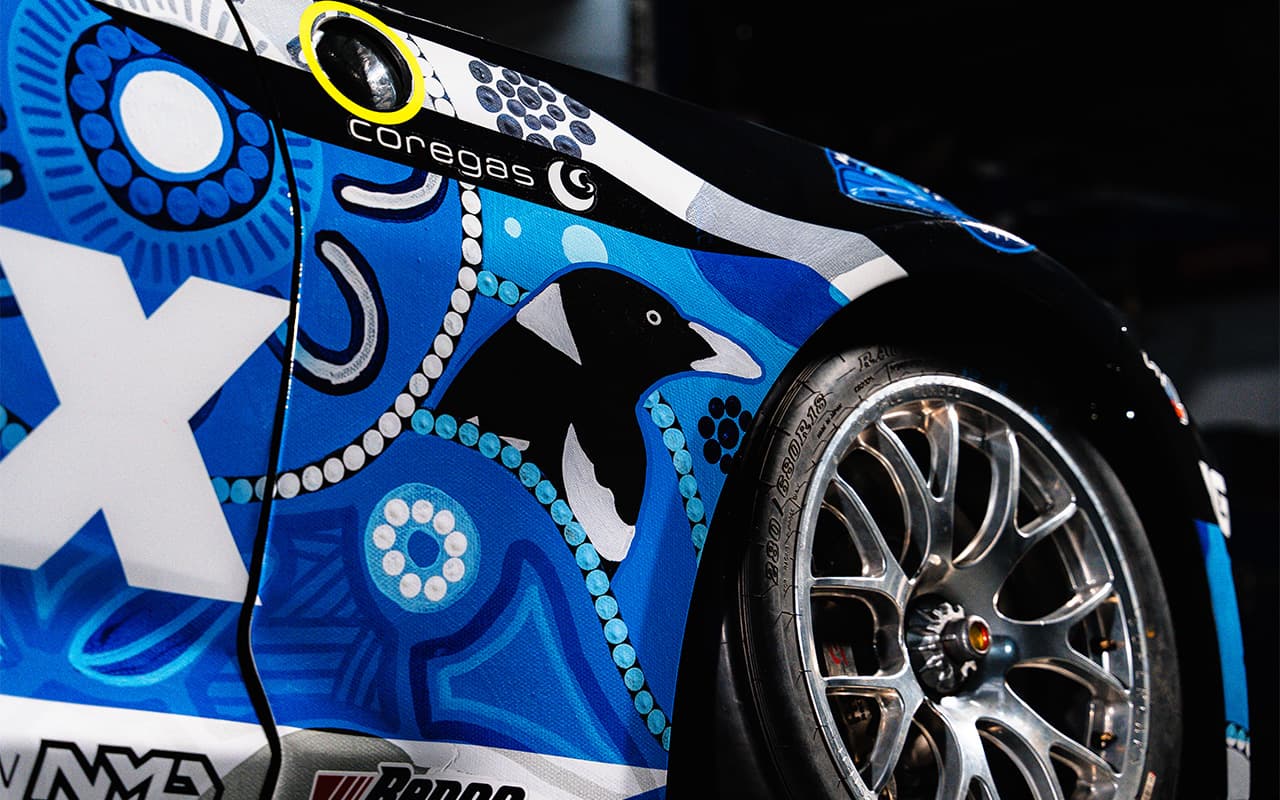 MSR indigenous livery-2