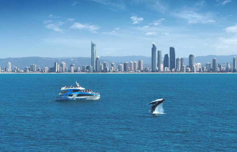 GC-ETYNTK-Gold-Coast