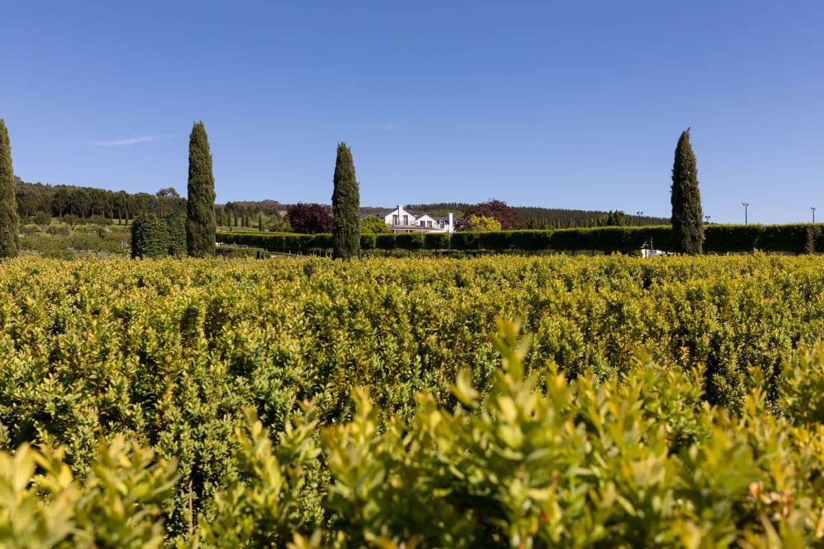 B1000-Trails-Mayfield-Gardens