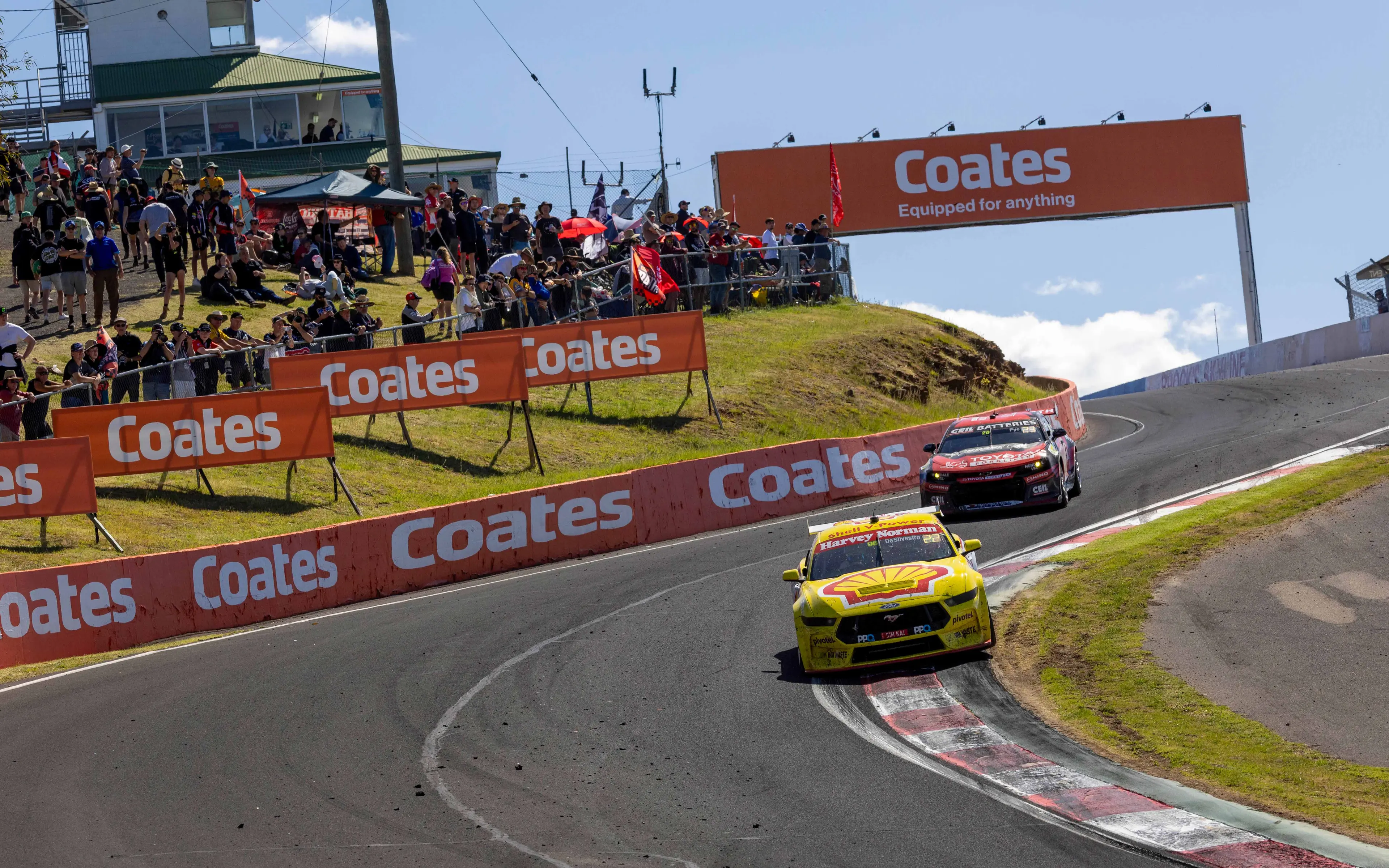 allen de silvestro 2