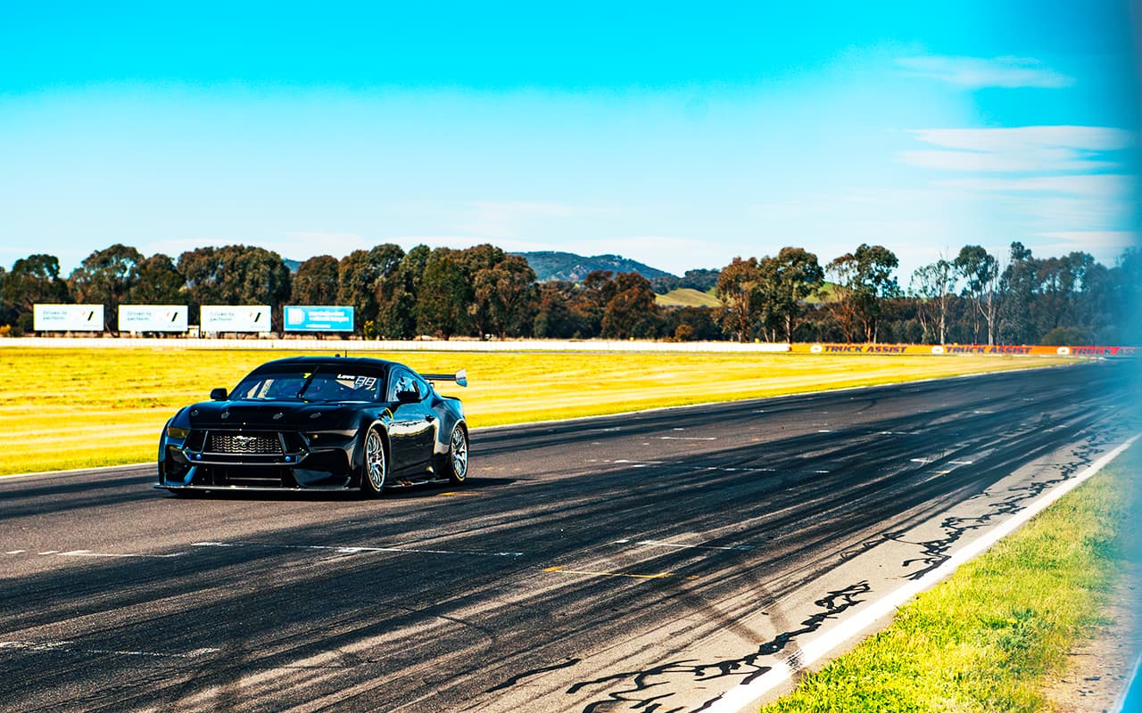 blanchard wildcard 1