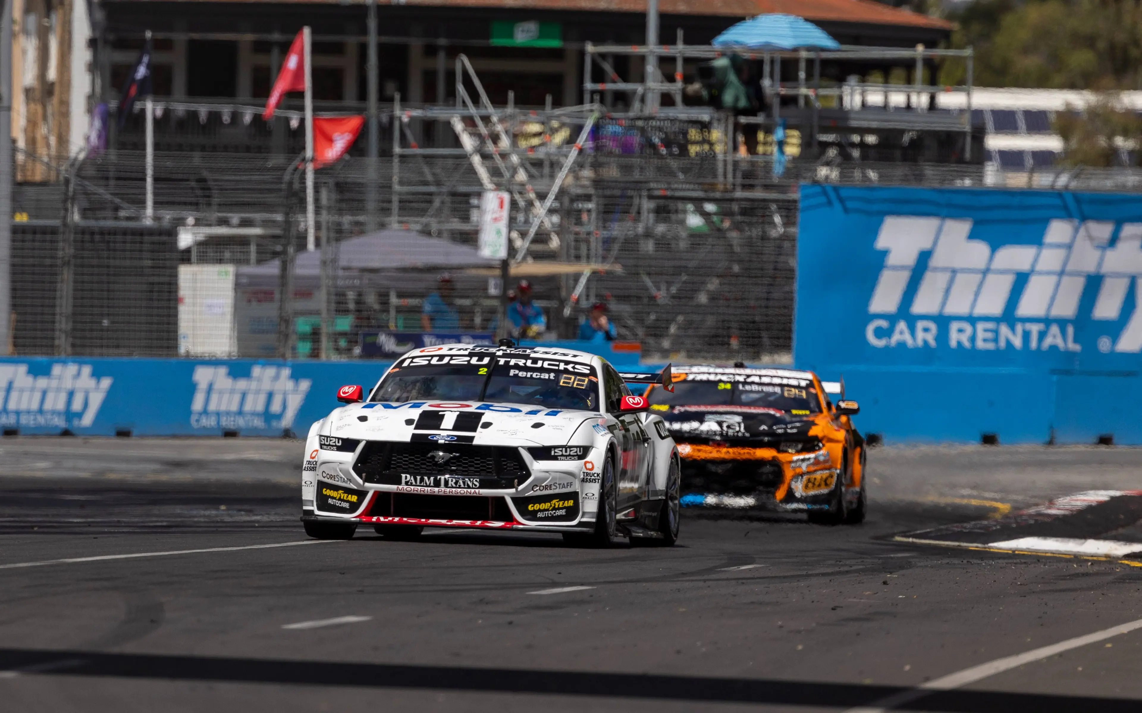 percat le brocq adelaide 2023