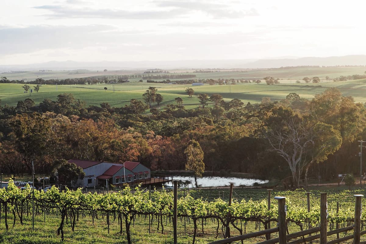 B1000-Trails-Winburndale-Wines