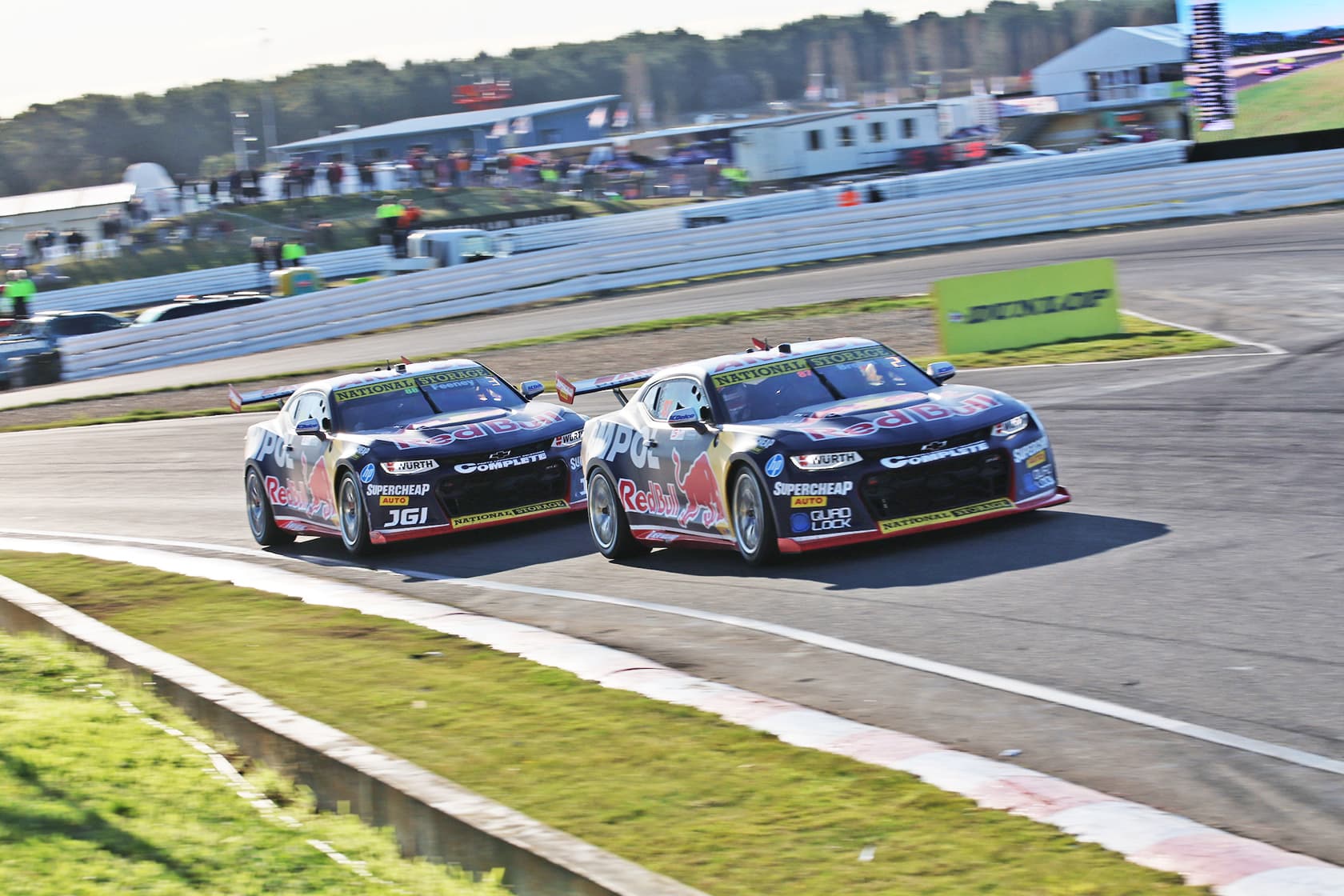 brown feeney tasmania MH1 7428 (1)