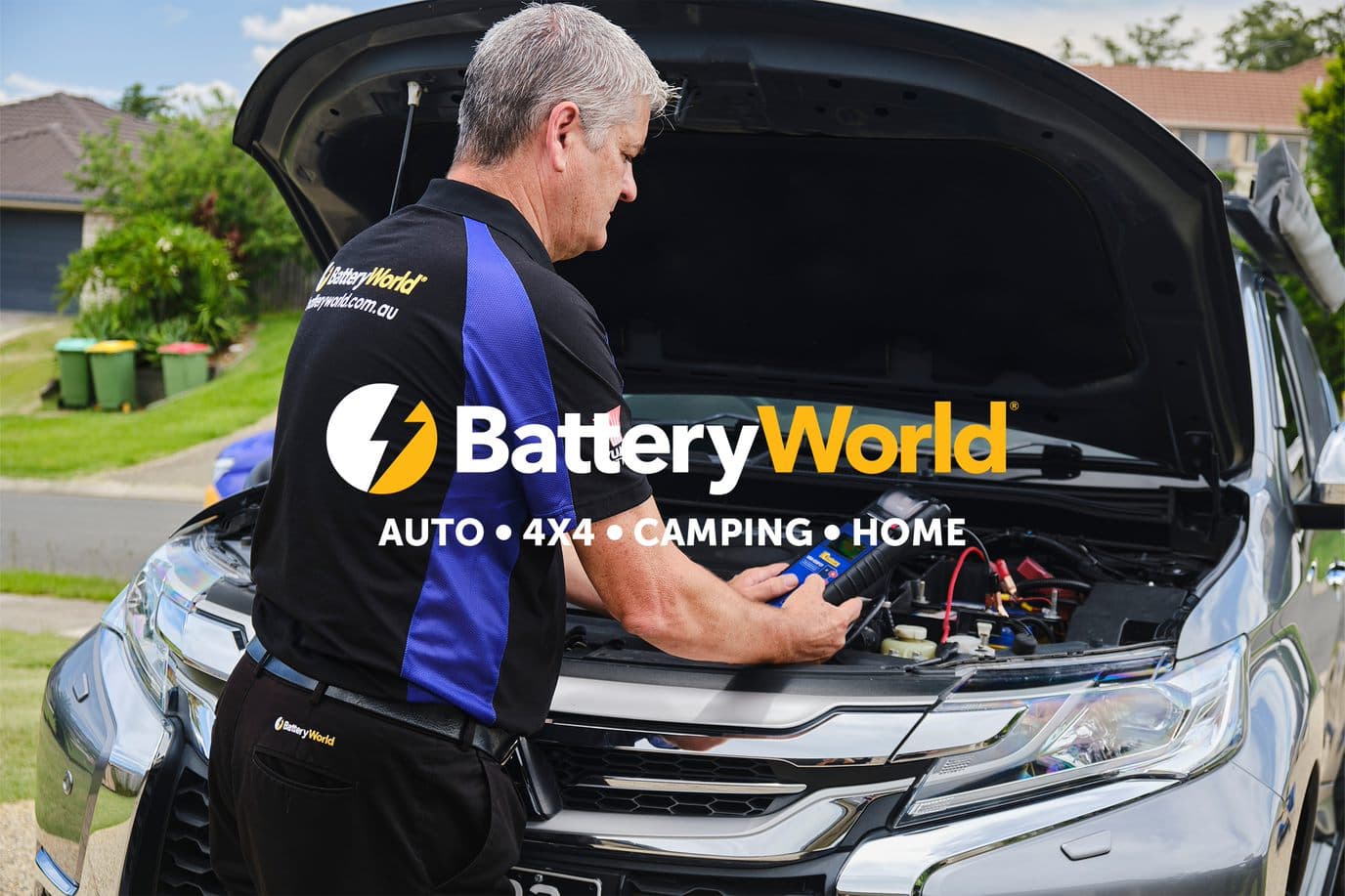 Battery World