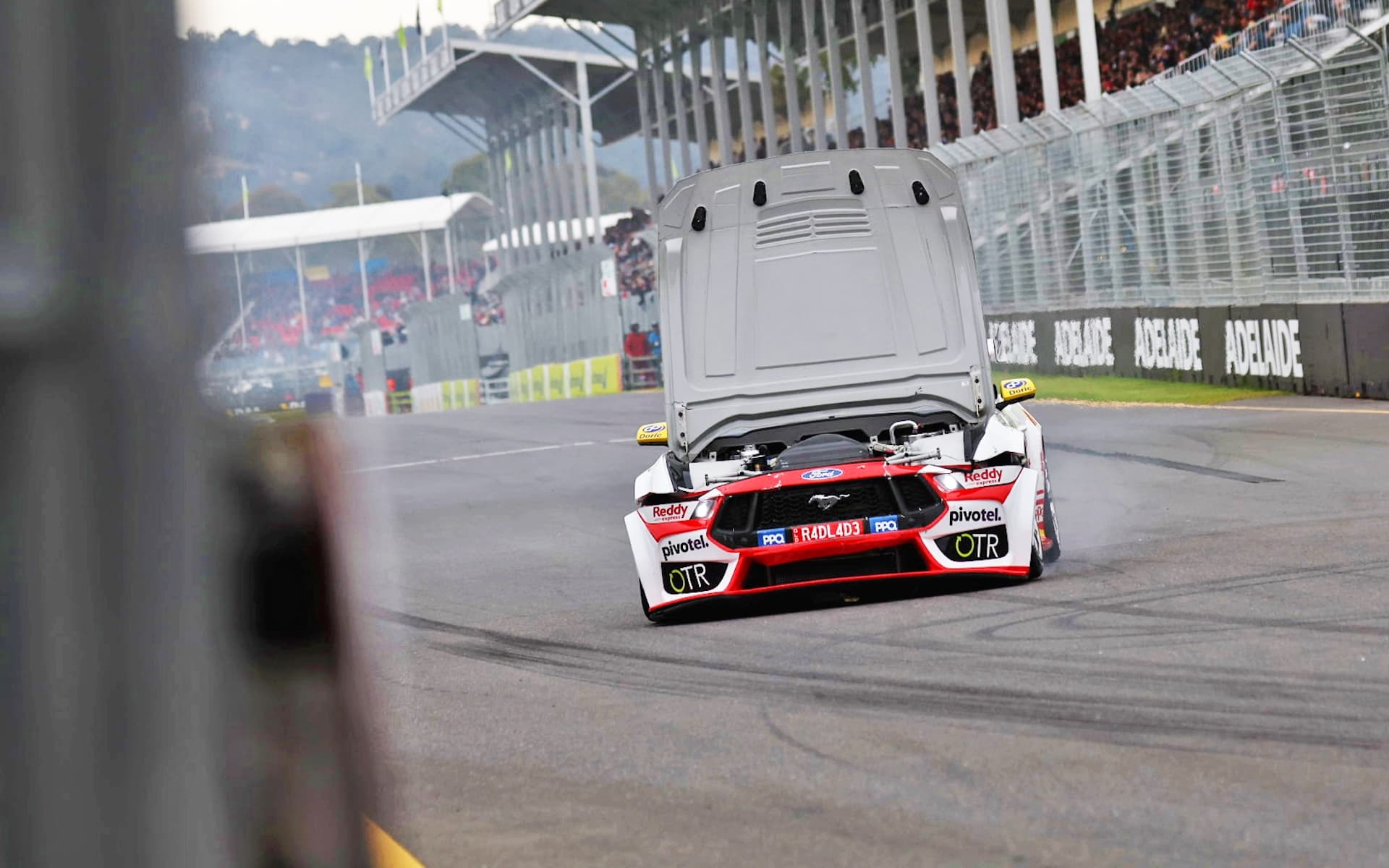 kostecki ev13-25 SK1 3383