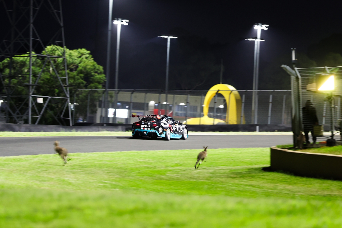 Loose kangaroos suspend DNSW Sydney Test Day testing | Supercars